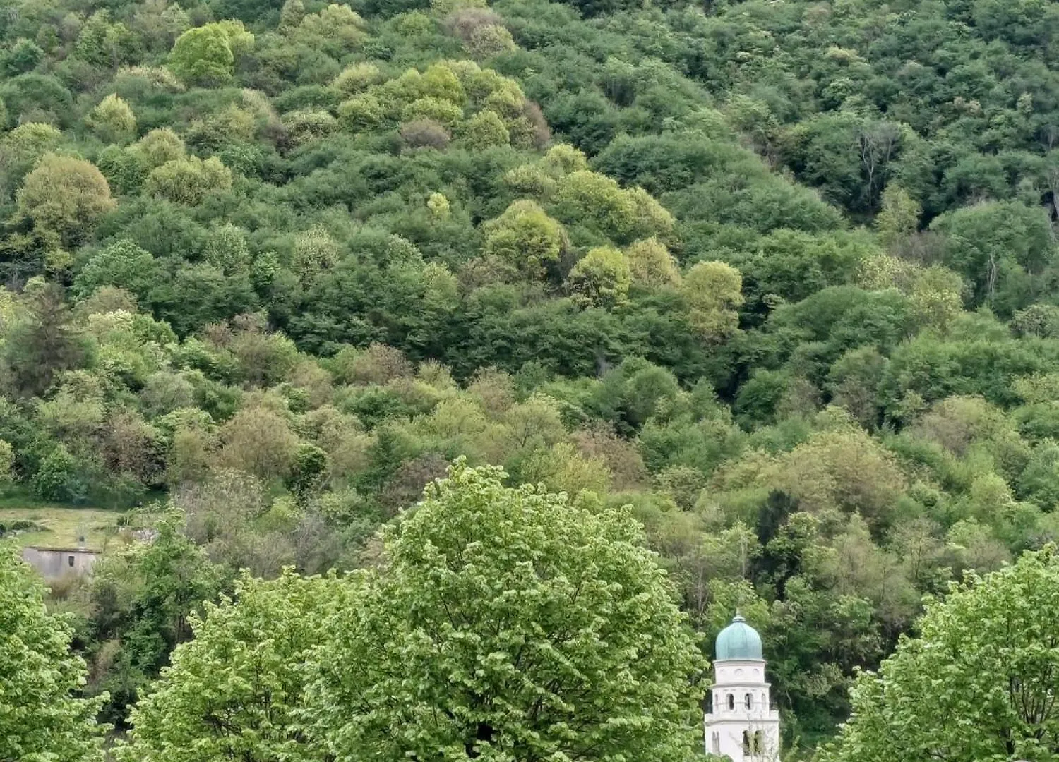 Il Vicoletto location